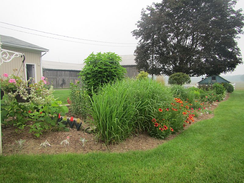 GRASSES 2