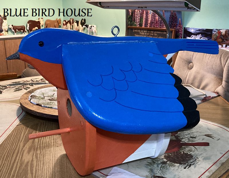 BLUE BIRD HOUSE